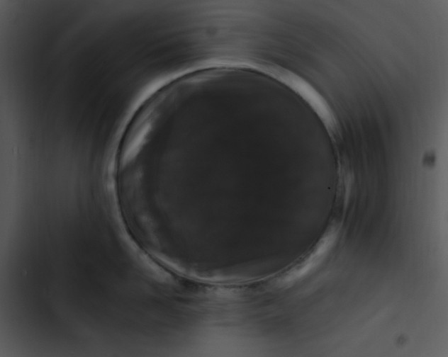 X0000102810958200809081105