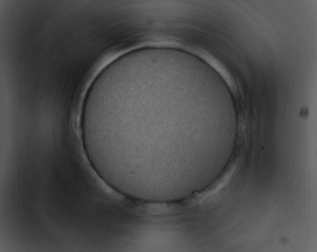 X0000102810959200809081105