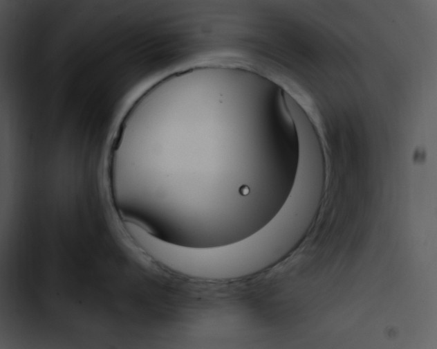 X0000102810960200809081105