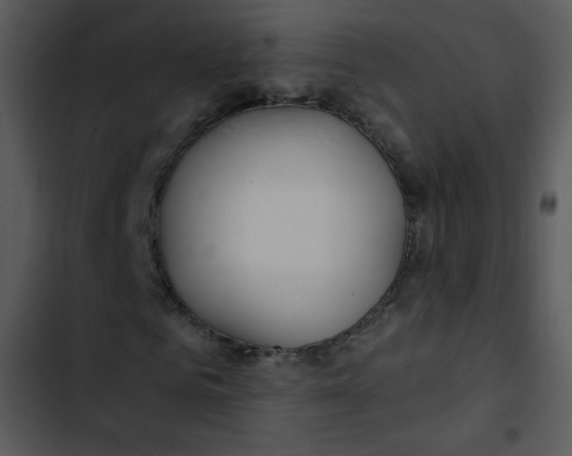 X0000102810961200809081105