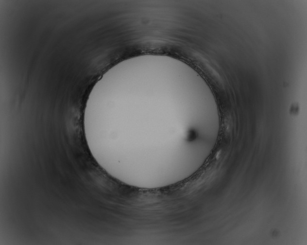 X0000102810964200809081105