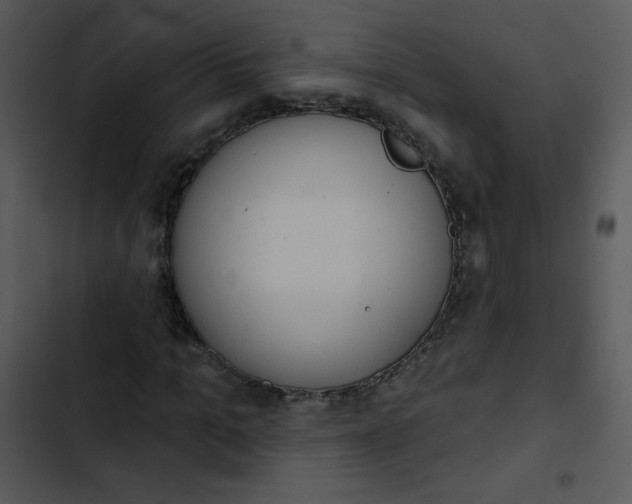 X0000102810965200809081105