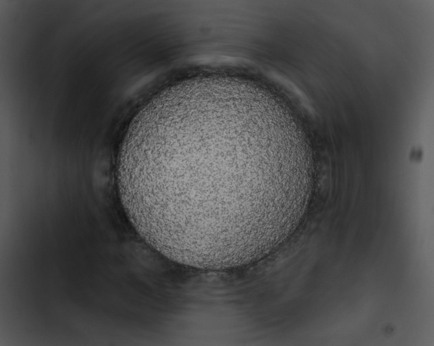 X0000102810966200809081105