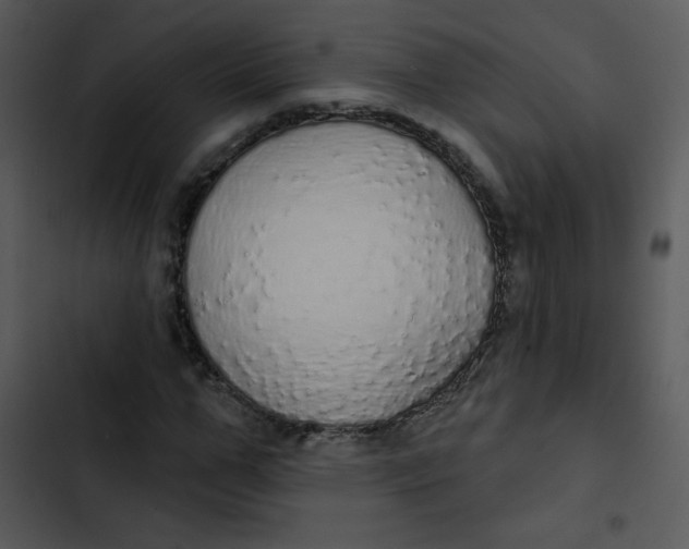 X0000102810967200809081105