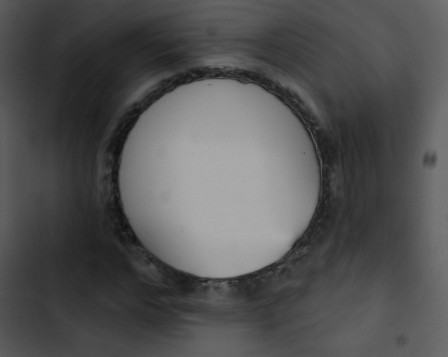 X0000102810968200809081105