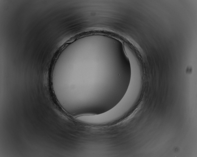 X0000102810969200809081105