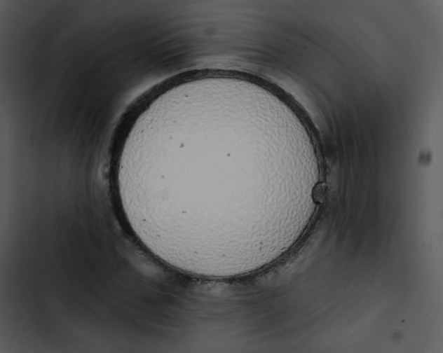 X0000102810971200809081105