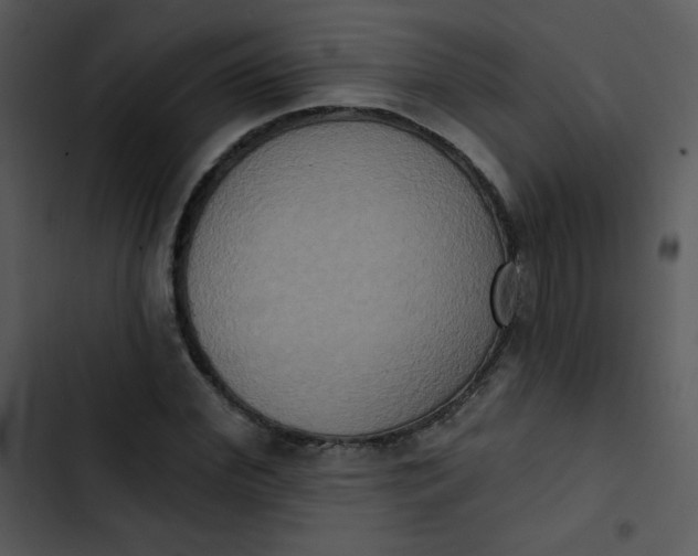 X0000102810972200809081105