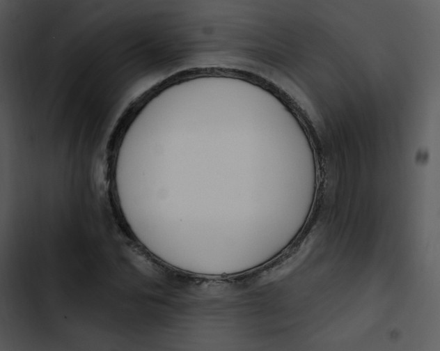 X0000102810974200809081105