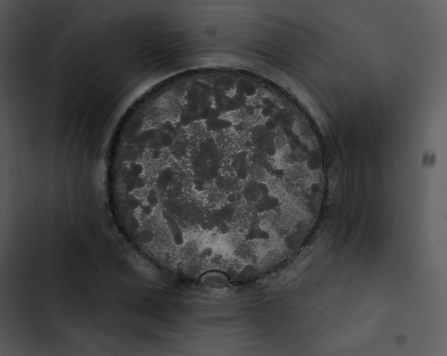 X0000102810975200809081105