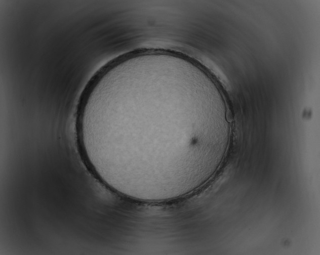 X0000102810976200809081105