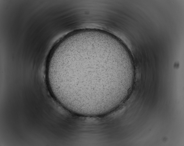 X0000102810979200809081105