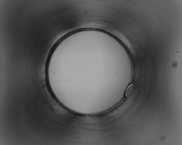 X0000102810980200809081105