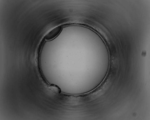 X0000102810981200809081105