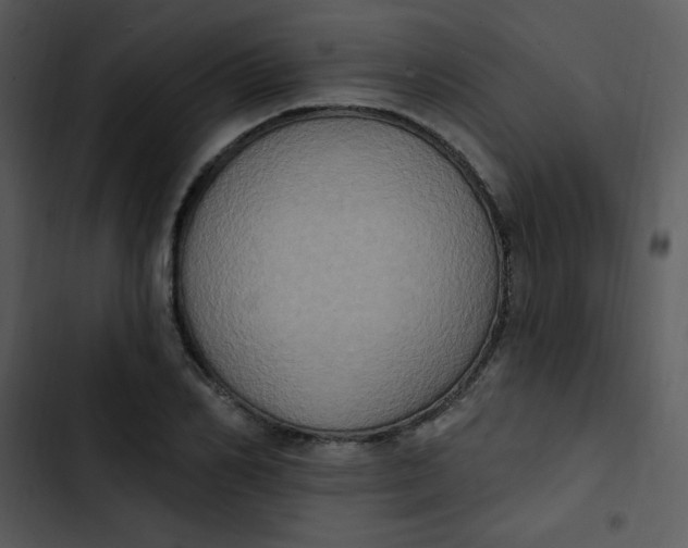 X0000102810982200809081104