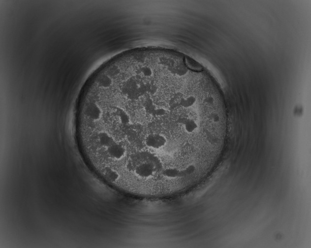 X0000102810983200809081104