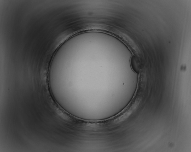 X0000102810985200809081104