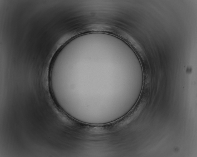 X0000102810986200809081104