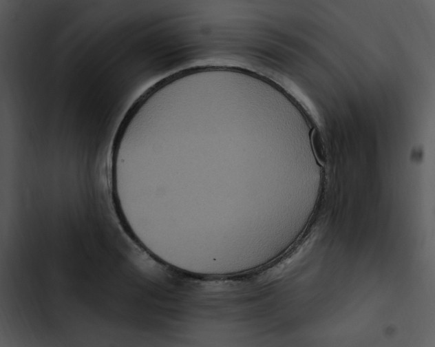 X0000102810988200809081104