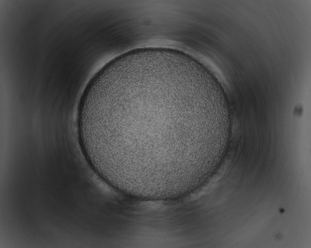 X0000102810990200809081104