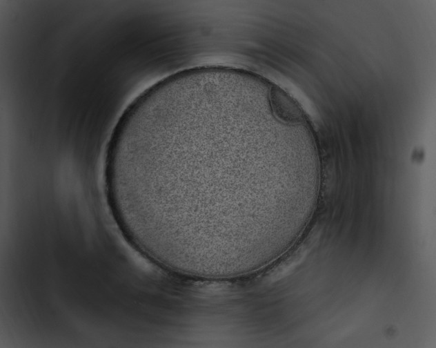 X0000102810991200809081104