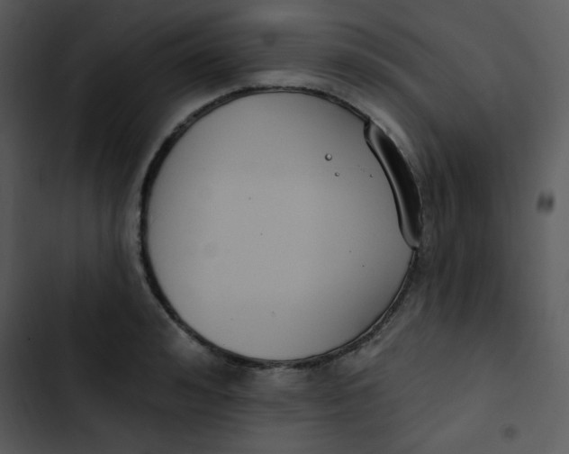 X0000102810992200809081104