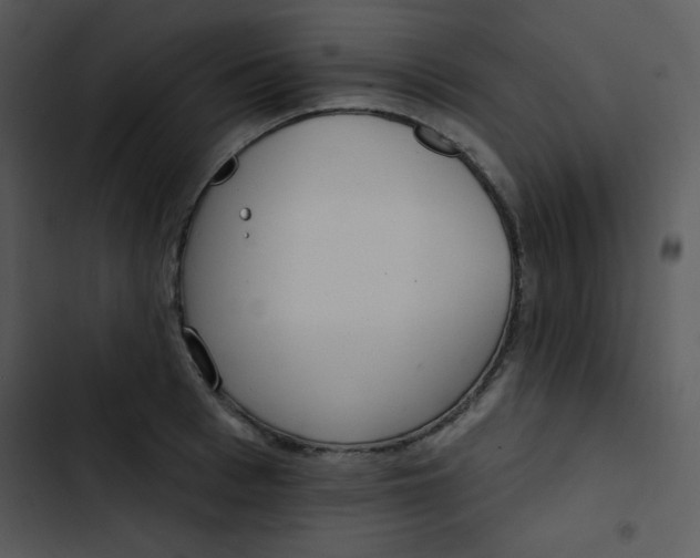 X0000102810993200809081104