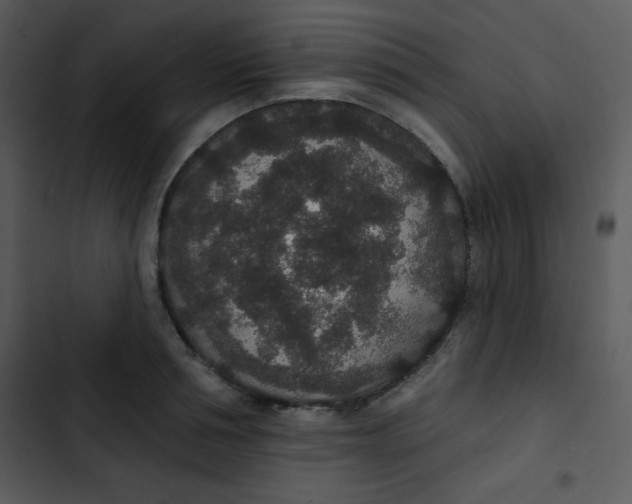 X0000102810994200809081104