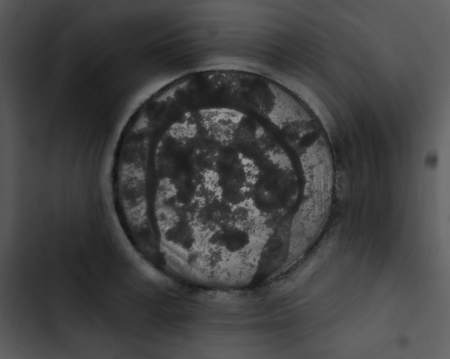 X0000102810995200809081104