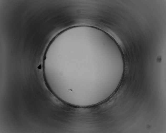 X0000102810996200809081104