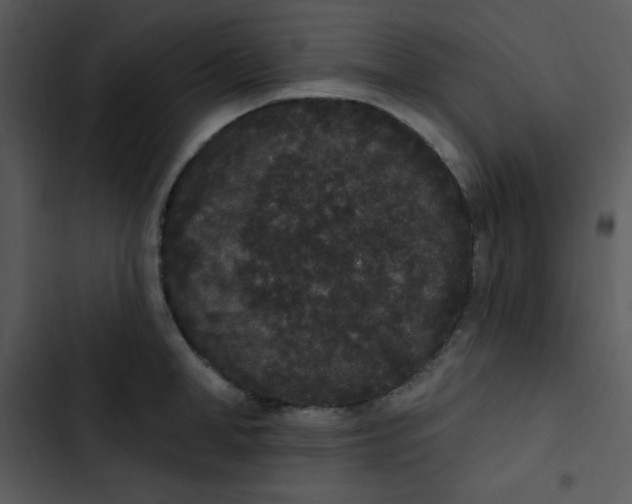 X0000102810998200809081104