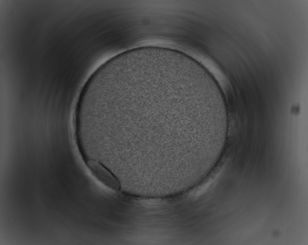 X0000102810999200809081104