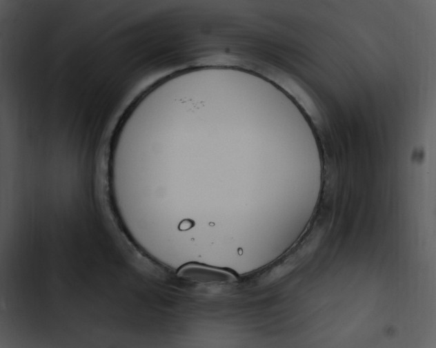 X0000102811000200809081104