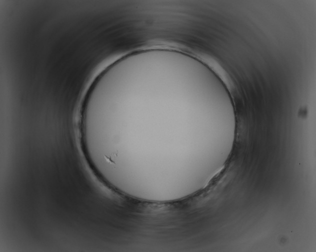 X0000102811003200809081104