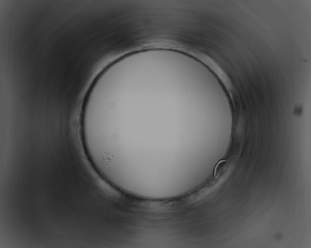 X0000102811005200809081104