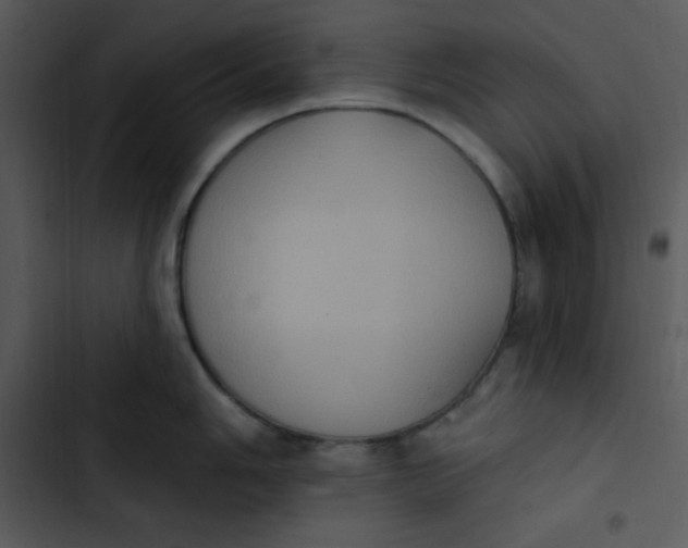 X0000102811006200809081104