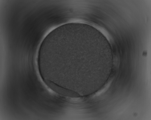 X0000102811007200809081104