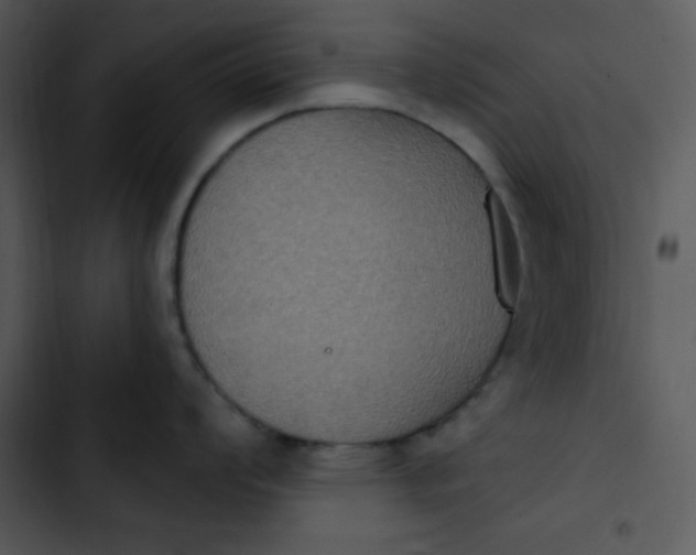 X0000102811008200809081104