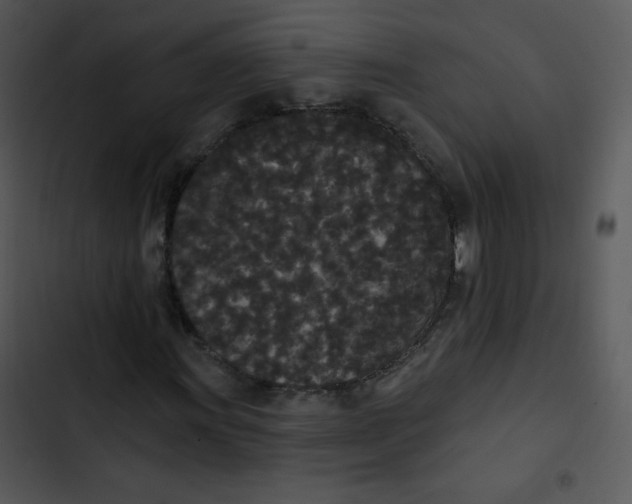 X0000102811011200809081103