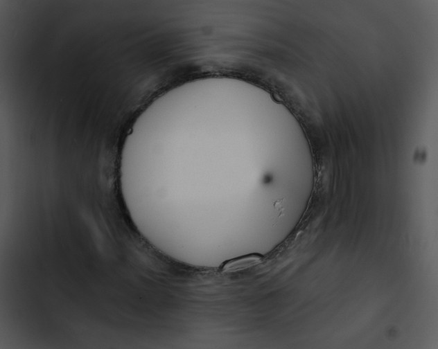 X0000102811012200809081103