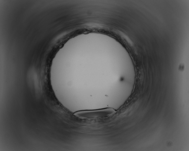 X0000102811016200809081103