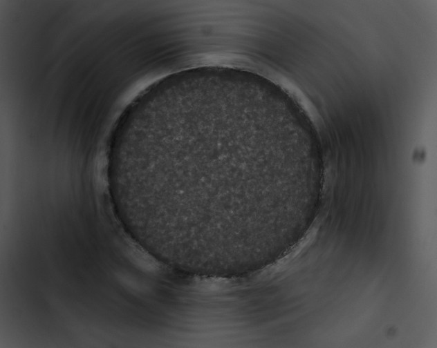 X0000102811019200809081103