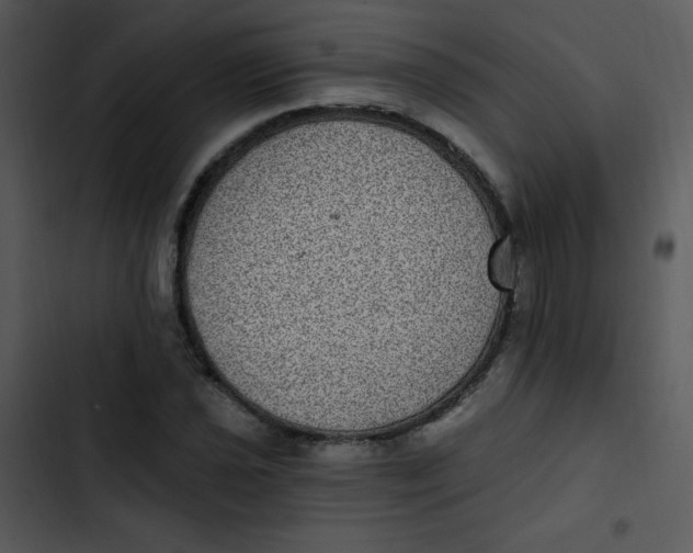 X0000102811021200809081103