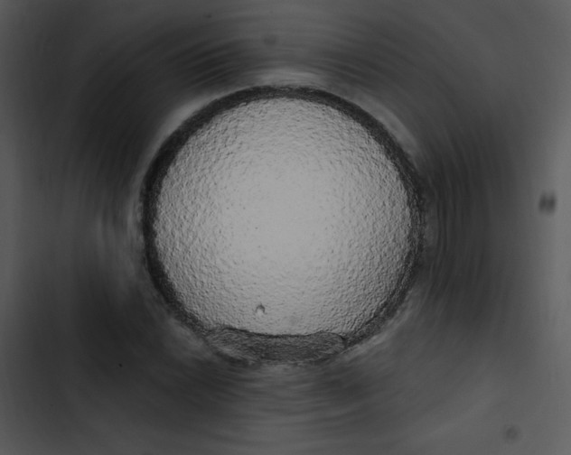 X0000102811022200809081103