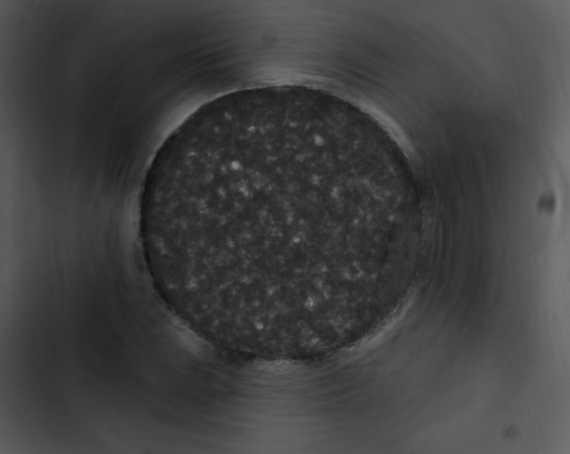 X0000102811023200809081104