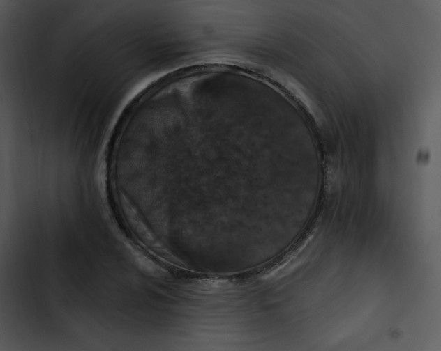 X0000102811024200809081104