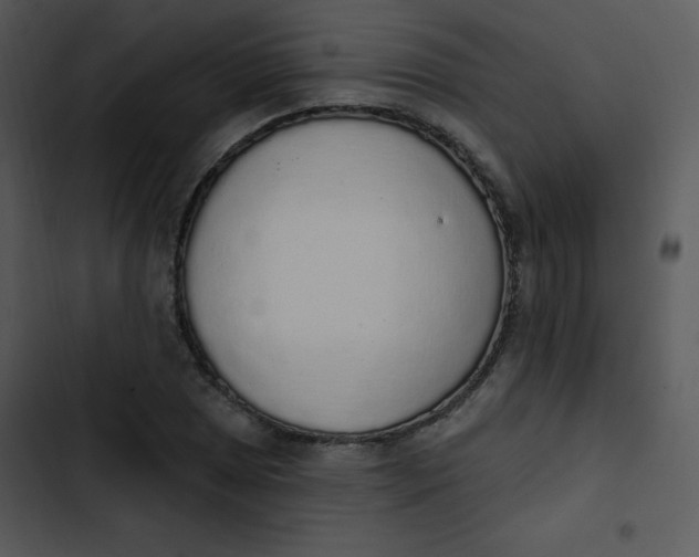 X0000102811025200809081104