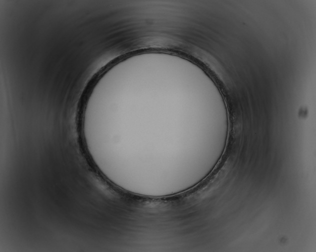 X0000102811026200809081104