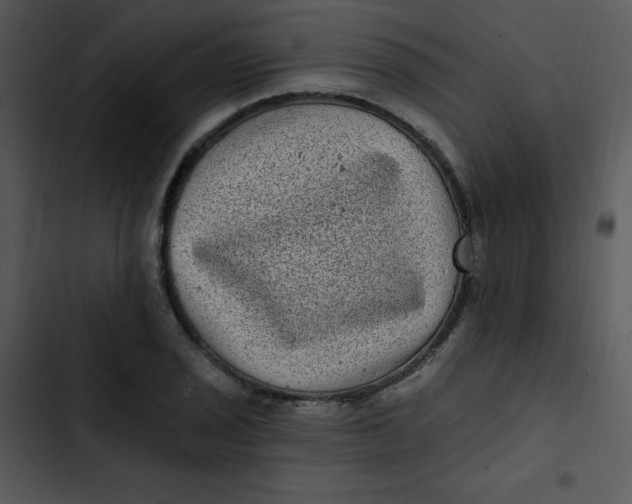 X0000102811029200809081104