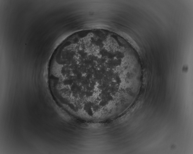 X0000102811031200809081104